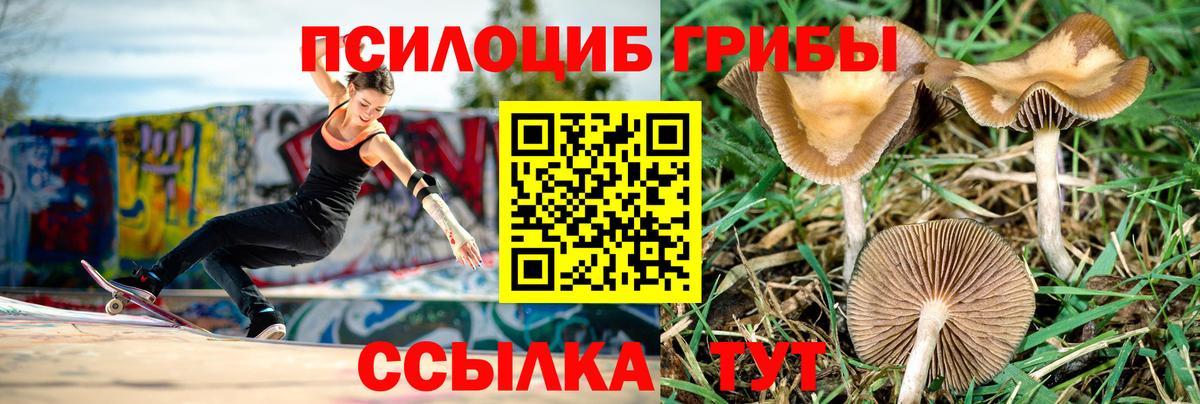 МЕФ Миасс