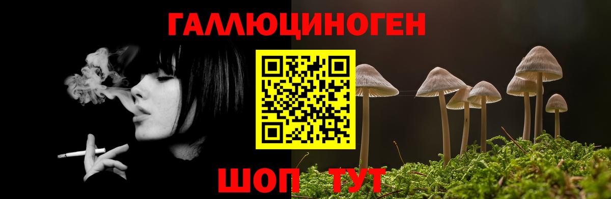 Галлюциногенные грибы мухоморы Миасс